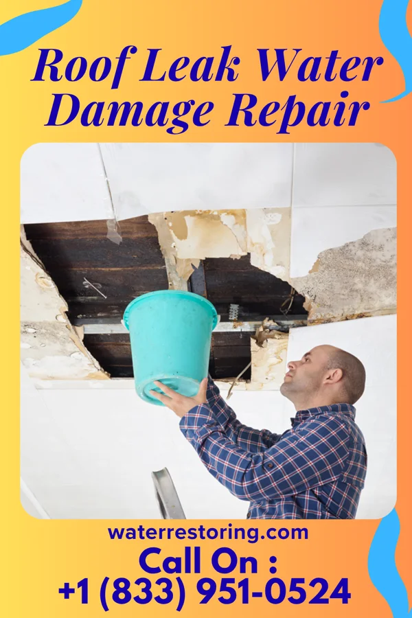 Roof Leak Water Damage Repair in Coleman, TX